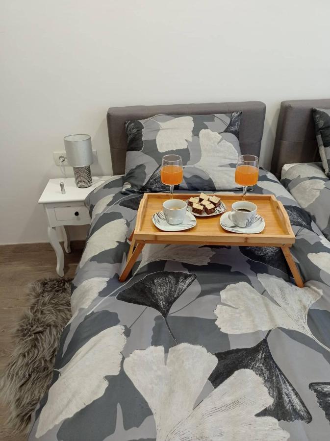 Appartement Apartman Cezar à Rijeka Extérieur photo