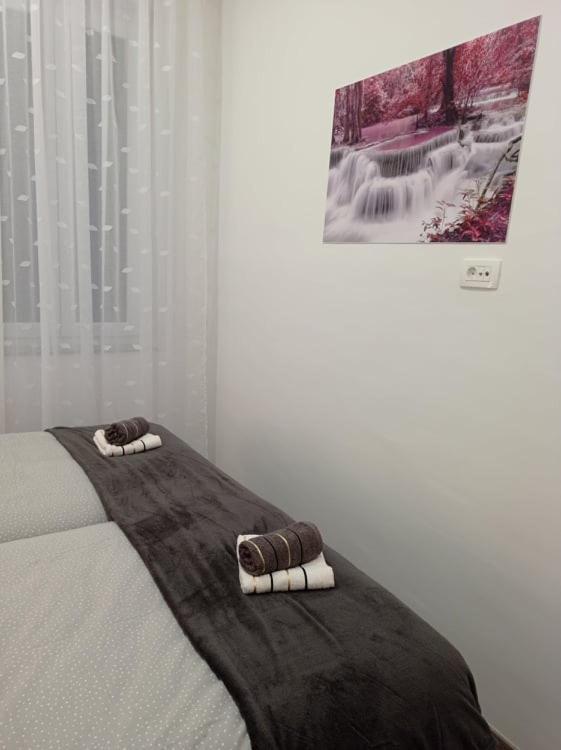 Appartement Apartman Cezar à Rijeka Extérieur photo
