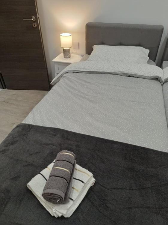 Appartement Apartman Cezar à Rijeka Extérieur photo