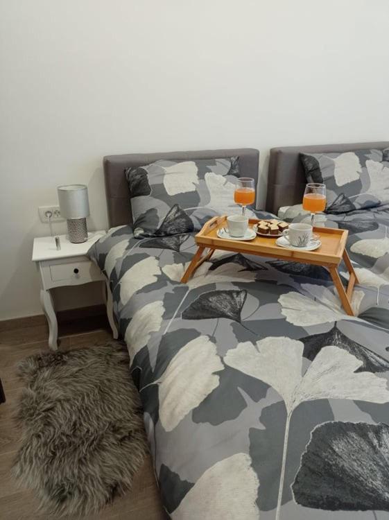 Appartement Apartman Cezar à Rijeka Extérieur photo