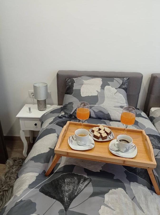 Appartement Apartman Cezar à Rijeka Extérieur photo